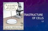 [PPT]Ultrastructure of cells - Mrs. Winegar's World · Web view1.2 Ultrastructure of Cells Understandings: Prokaryotes have simple cell structure without compartmentalization Eukaryotes