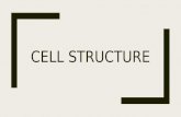 [PPT]1.2 Ultrastructure of cells - Fillinghamfillingham.weebly.com/uploads/5/6/7/4/56744911/cell... · Web view1.2 Ultrastructure of cells Last modified by Tanya Fillingham Company