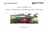 ADP GUIDE TO POST HARVEST HANDLING OF … MINIMISING DISEASE AND DAMAGE ... This ADP Guide to Post Harvest Handling of Apples looks at ... The phrase ‘Post Harvest Handling’ is