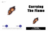 1 Timothy Carrying The Flame - WordPress.com · 1 Timothy Carrying The Flame 1 Timothy INTEGRATED ILE STUDY GUIDE 2 1 Timothy How to get best value out of these studies... 8 Welcome