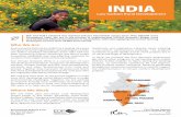 INDIA - Environmental Defense Fund · scientists and other professionals from India and ... gas (GHG) offset program in partnership with IndiGo Airlines. IndiGo enables its flyers,