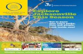 Explore COURSE CATALOG Jacksonville This Seasonbrochures.lerntools.com/pdf_uploads/OLLI Catalog for SpringSummer... · Wildlife Travel on Five Continents 13 NEW: EXPLORE MORE Forum