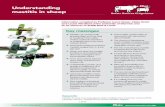 Understanding mastitis in sheep - AHDB Beef & Lambbeefandlamb.ahdb.org.uk/wp/wp-content/uploads/2016/07/BRP-plus... · beefandlamb.ahdb.org.uk advanced information from BRP 1 of 17