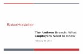 The Anthem Breach: What Employers Need to Know€¢ Business Associates (indirectly and directly by virtue of the HITECH Act) ... What To Do If Plan Uses Anthem Network or Anthem Was