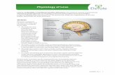 Physiology of Love - UGA · Physiology of Love The Brain ...  3 References Bernardi ... neurosequential model of therapeutics.