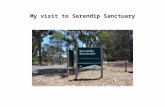 parkweb.vic.gov.auparkweb.vic.gov.au/.../Serendip-Sanctuary-Social-Script.docx · Web viewI am going to Serendip Sanctuary. A sanctuary is a safe park for Australian animals to live.