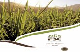 Annual Report 2016 - Fiji Sugar Corporationfsc.com.fj/reports/FSC 2016 Annual Report.pdf · Shivam Naidu General Manager Engineering Rajneesh Lata Charan General Manager Information
