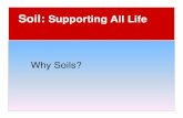 Soil: Supporting All Life - Western Coventry Schoolfaculty.coventryschools.net/stetsonpeter/ESSoils.pdf · Why Soils? Characteristics of Soil ... particle sizes. - Sand (large size)