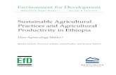 Sustainable Agricultural Practices and Agricultural … for Development Discussion Paper Series April 2009 EfD DP 09-12 Sustainable Agricultural Practices and Agricultural Productivity