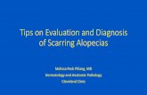 Tips on Evaluation and Diagnosis of Scarring … S012...Tips on Evaluation and Diagnosis of Scarring Alopecias ... •Unusual presentations - Beware ... - Cyclical recurrence –coincided