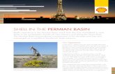 SHELL IN THE PERMIAN BASIN€™s operations in the Permian Basin reach from the City of ... Shell was the first company to support ... well locations identified in the Permian Basin.