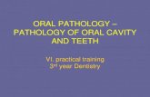 ORAL PATHOLOGY PATHOLOGY OF ORAL CAVITY …ustavpatologie.upol.cz/_data/section-1/497.pdf · ORAL PATHOLOGY – PATHOLOGY OF ORAL CAVITY AND TEETH VI. practical training 3rd year