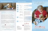 Easy to Use Instructions: Aerosol Treatments and your Dog · Easy to Use Instructions: ... pharmaceutical aerosol drug delivery devices for both human ... delivery of the aerosol