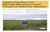 Opportunities for Woody Biomass Fuel Crops in Interior Alaska for Interior Alaska - publication.pdf · Woody Biomass Fuel ... (Crimp and Adamian, 2000; Nicholls and Crimp, 2002; Fresco,