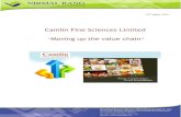 Camlin Fine Sciences Limited Moving up the value chain Fine Sciences 19th August 2015.pdfCamlin Fine Sciences Limited “Moving up the value chain ... are key value drivers for the