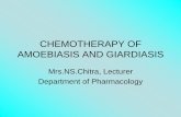CHEMOTHERAPY OF AMOEBIASIS AND GIARDIASIS .pdf• Bowel lumen amoebiasis is asymptomatic and trophozoites (noninfective) and cysts (infective) are passed into the faeces. Treatment