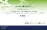 Skillsfirst Awards Tutor Guide Level 2 and 3 Certificate ... · This handbook provides guidance and is not a prescriptive document. ... a safe and secure environment: ... passwords;
