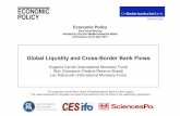 Global Liquidity and Cross-Border Bank Flows · Hosted by the De Nederlandsche Bank ... Global Liquidity and Cross-Border Bank Flows ... These commonalities give rise to the question