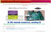 Programming Embedded Systems with 8051 Microcontroller … · Programming Embedded Systems with 8051 ... Why use C? 7 Review: The 8051 microcontroller 8 ... Design software for multi-processor