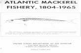 ATLANTIC MACKEREL FISHERY, 1804-1965 - …spo.nmfs.noaa.gov/sites/default/files/legacy-pdfs/...ATLANTIC MACKEREL FISHERY, 1804-1965 i The mackerel, Scomber scombrus, has a streamlined