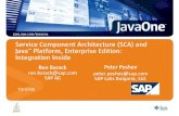 Service Component Architecture (SCA) and Java™ … Component Architecture (SCA) and Java Platform, Enterprise Edition: Integration Inside Ron Barack ron.barack@sap.com SAP AG TS-41500