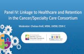 Panel IV Linkage to Healthcare and Retention in the Cancer ... · vulnerable populations in Anne Arundel, Calvert, and Prince George’s ... Creating an Optimal Care Coordination