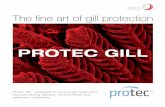 Protec Gill Handbook - Skretting · The fine art of gill protection Protec Gill - designed to support gill health and recovery during disease, environmental and treatment challenges.