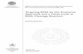 Targeting RNA by the Antisense Approach and a Close Look ...170860/FULLTEXT01.pdf · Comparison of the RNase H cleavage kinetics and blood serum sta- ... LNA Locked nucleic acid ...