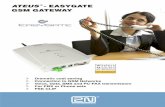 EasyGate User guideENG 103 - mpinetworks.com€¦ · Quick Installation Guide + mounting pattern 1 pc ... 5.1. OUTGOING CALL ... terminal that is able to display the CLI. 2.6.