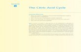 8 The Citric Acid Cycle - Minificciones · in a series of reactions variously called the citric acid cycle (CAC), the tricarboxylic acid (TCA) cycle, or the Krebs cycle.In the second