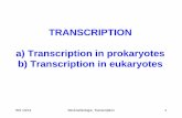 TRANSCRIPTION a) Transcription in prokaryotes b ...libvolume1.xyz/.../inhibitorsofprokaryotictranscriptiontutorial2.pdf2 Fig. Stryer Transcription in prokaryotes and eukaryotes The
