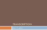 TRANSCRIPTION - Amazon S3 RNA processing only occurs in eukaryotes . RNA Processing " Post-transcriptional modification: ! ... prokaryotes and eukaryotes in transcription .