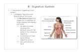 B. Digestive System - Metropolitan State University of Denverrowdysites.msudenver.edu/~raoa/rao/docs/Digestive- int… ·  · 2012-08-15B. Digestive System ... • thicker of the