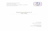 Odontopediatría II 4to Año - Universidad Central de ...ucv.ve/.../Imagenes/Portal/Odontopediatria/Odontopediatria_II.pdf · individuo que sirven de base en el desarrollo de las