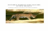 SUITABLE HABITAT FOR JAGUARS IN NEW MEXICO Introduction. This report utilizes criteria developed by the Habitat Subcommittee of the Jaguar Conservation Team to identify suitable jaguar
