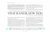 NEW DOG BREEDS RECOGNIZED BY THE FCI THAI BANGKAEW … Thai Bangkaew Dog.pdf · to the University of Pennsylvania, analyzed blood samples of 200 Thai Bangkaew Dogs. The breed could