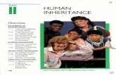 robertyake.files.wordpress.com · Sex-Limited and Sex-Influenced Traits Genes and the Environment HUMAN DISORDERS ... Punnett square in Figure I I-I shows the possible offspring of