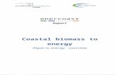 enercoast coastal biomass to energy - Interreg IVB …archive.northsearegion.eu/files/repository/... · Web viewReport Coastal biomass to energy Algae to energy - overview Radka Ptacnikova