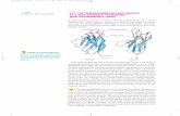 33.2 THE IMMUNOGLOBULIN FOLD CONSISTS OF A …labs.icb.ufmg.br/lbcd/pages2/agenor/p5/programas/Stryer/Chapter33... · OF A BETA-SANDWICH FRAMEWORK WITH HYPERVARIABLE LOOPS ... CHAPTER
