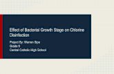 Central Catholic High School Grade 9 Project By: Warren Sipe science/PJAS/PJAS 15 pdf... · Effect of Bacterial Growth Stage on Chlorine Disinfection Project By: Warren Sipe Grade