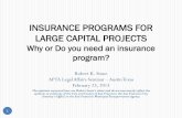 INSURANCE PROGRAMS FOR LARGE CAPITAL …€¦ · INSURANCE PROGRAMS FOR LARGE CAPITAL PROJECTS Why or Do you need an insurance program? Program Coverage 2 * Most common types of program