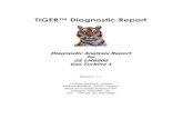TIGER™ Diagnostic Report - Turbine Services Format Docs/User Report... · TIGER™ Diagnostic Report Diagnostic Analysis Report for GE LM6000 Gas Turbine 1 Revision: 1.1 Turbine