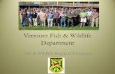 Vermont Fish & Wildlife Departmentlegislature.vermont.gov/assets/Documents/2016/WorkGroups/House Fish...• Mountain Lion • Muskies ... Green Mtn Conservation Camps ... Non-resident