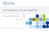 Cost Transparency: I Can See Clearly Now - Cloud Cruiser · © 2015 Cloud Cruiser |  Cost Transparency: I Can See Clearly Now Series: Because IT Means Business