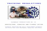 Technical Education and Skills Development Act of 1994armm.tesda.gov.ph/Downloadables/TR-SEAWEED PRODUCTION NC... · Web view2.5 Questions about simple routine workplace procedures