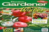 E! Winter - Dawsons Garden Worlddawsonsgardenworld.com.au/wp-content/uploads/2013/08/DAW00027… · Select Camellia sasanqua varieties ... Catalogue in store or view online at dawsonsgardenworld.com.au