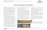 ASC-210: Processing Chickens · Processing Chickens Tony Pescatore, Steve Skelton, and Jacquie Jacob, Animal and Food Sciences W hen processing poultry, remember that you are pro-