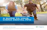 A GUIDE TO YOUR CIGNA DENTAL PPO - ybenefits.org · A GUIDE TO YOUR CIGNA DENTAL PPO Offered by Cigna Health and Life Insurance Company or Connecticut General Life Insurance Company.
