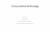 Computational Biology - dcs.warwick.ac.ukfeng/teaching/compbio_2015_II.pdf · Computational Biology Jianfeng Feng Warwick University (many slides are from Dr. M. Lindquist) feng/Comp_Biol.html.