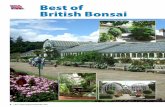Best of British Bonsai - Birmingham Botanical Gardens · the Best of British Bonsai awards. Of all the trees and shohin compositions exhibited, ... Korean hornbeam, Carpinus turczaninowii